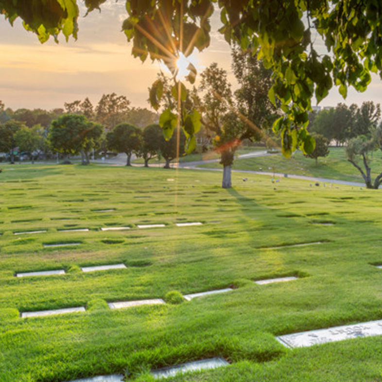 Image of the cemetery